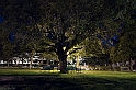 Ortobene, giardini by night - (IMG_1877_2)